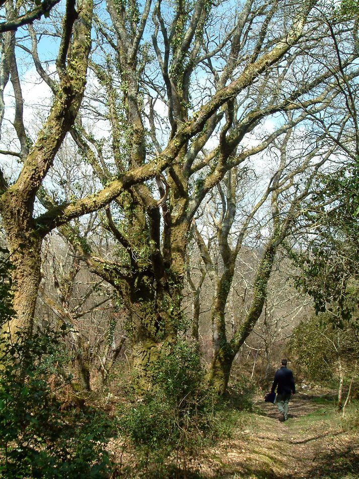 Wanderung im Finestère