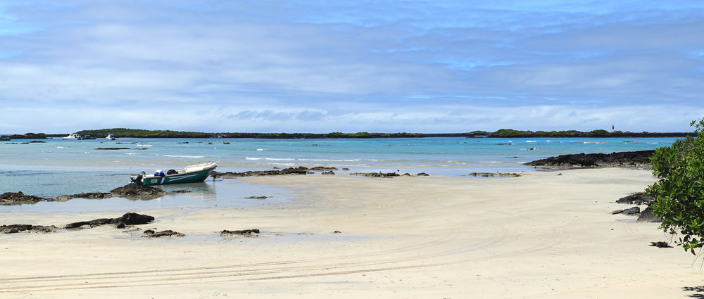 Strand der Isla Isabella - Galapagos