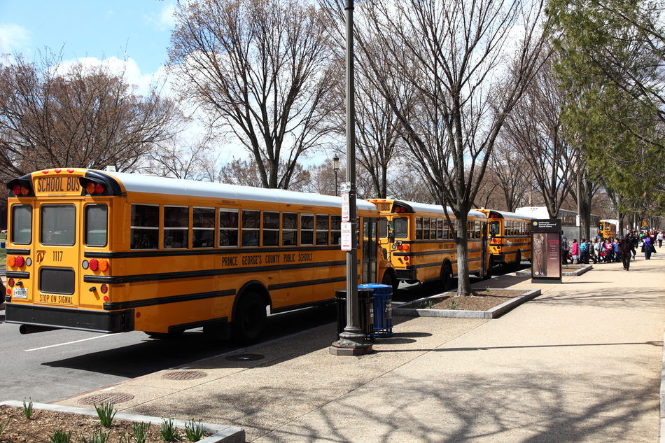 Schulbusse vor Washingtons Museen